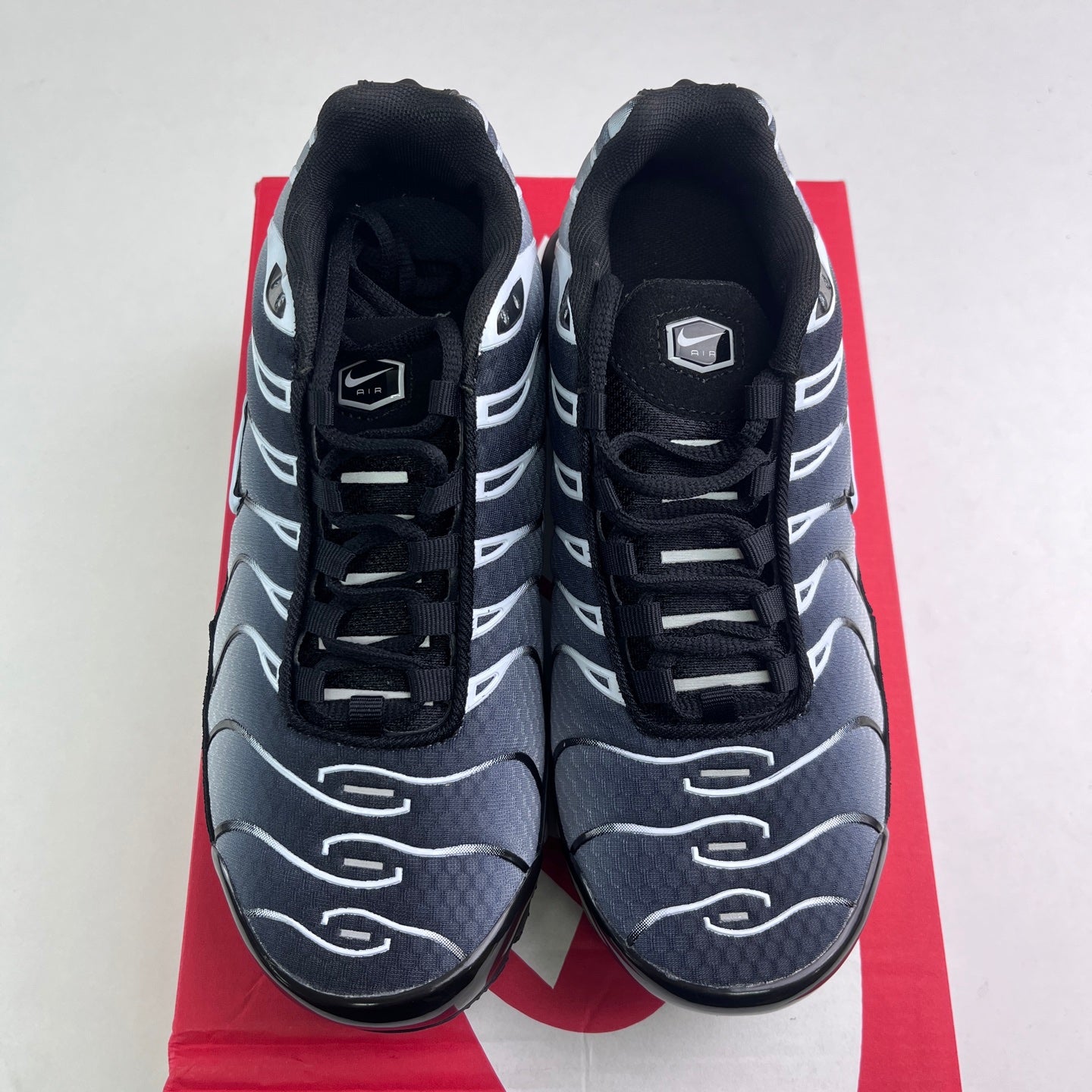 Nike Air Max Plus TN Gradient Black White Grey