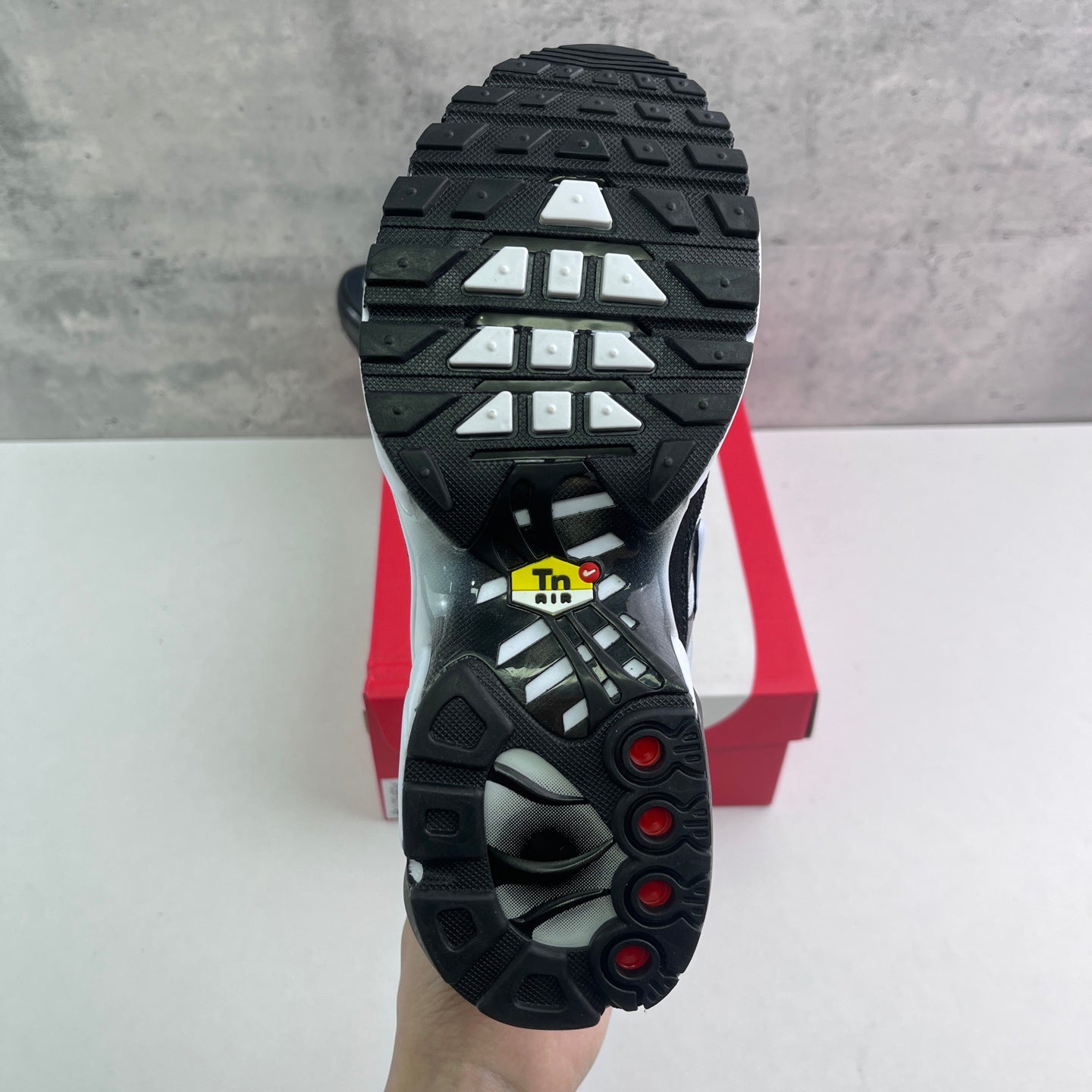 Nike Air Max Plus TN Gradient Black White Grey