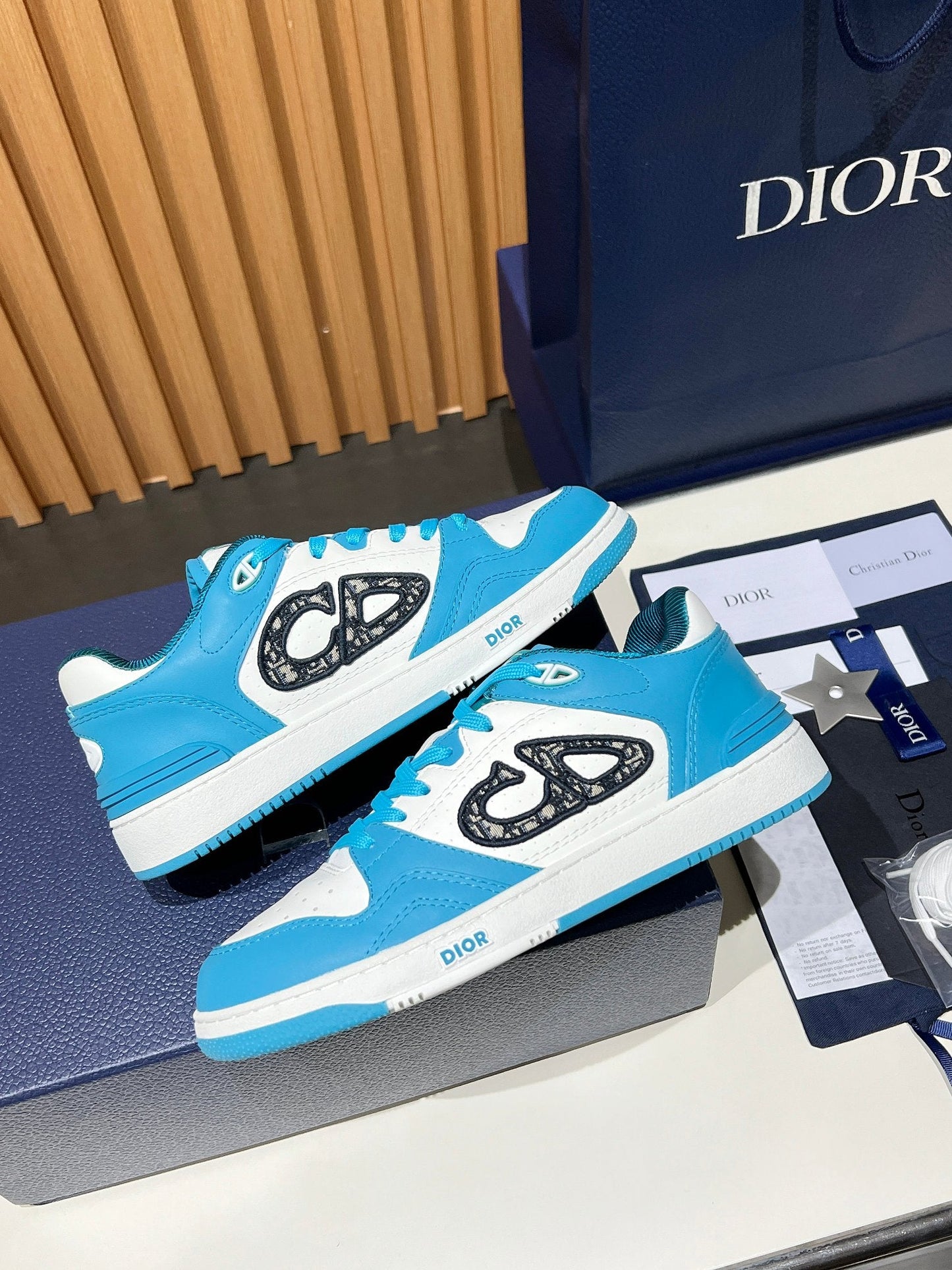 Dior B57 Low Teal/White