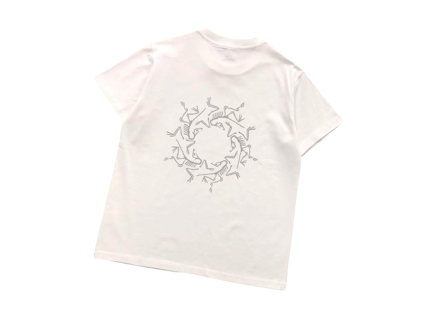 Arc'teryx Spiral Tee - (WHITE)