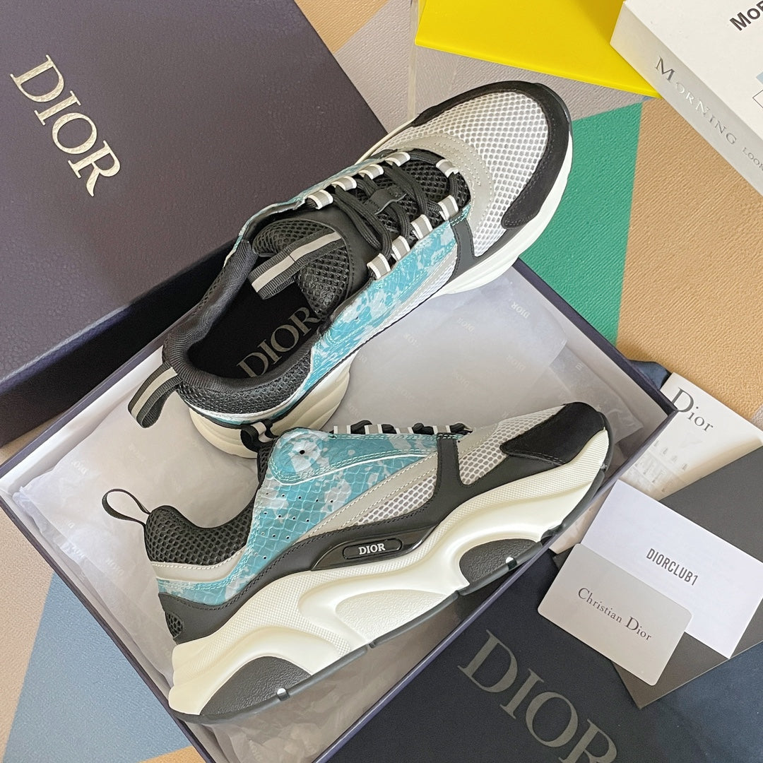Dior B22 Faded Grey/Blue