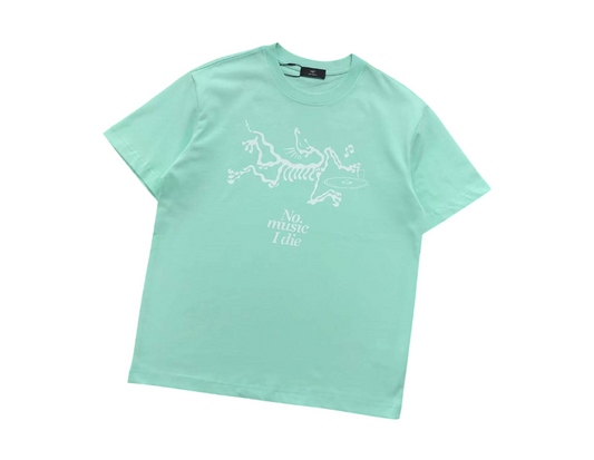 Arc'teryx No Music I Die Tee - (MINT GREEN)