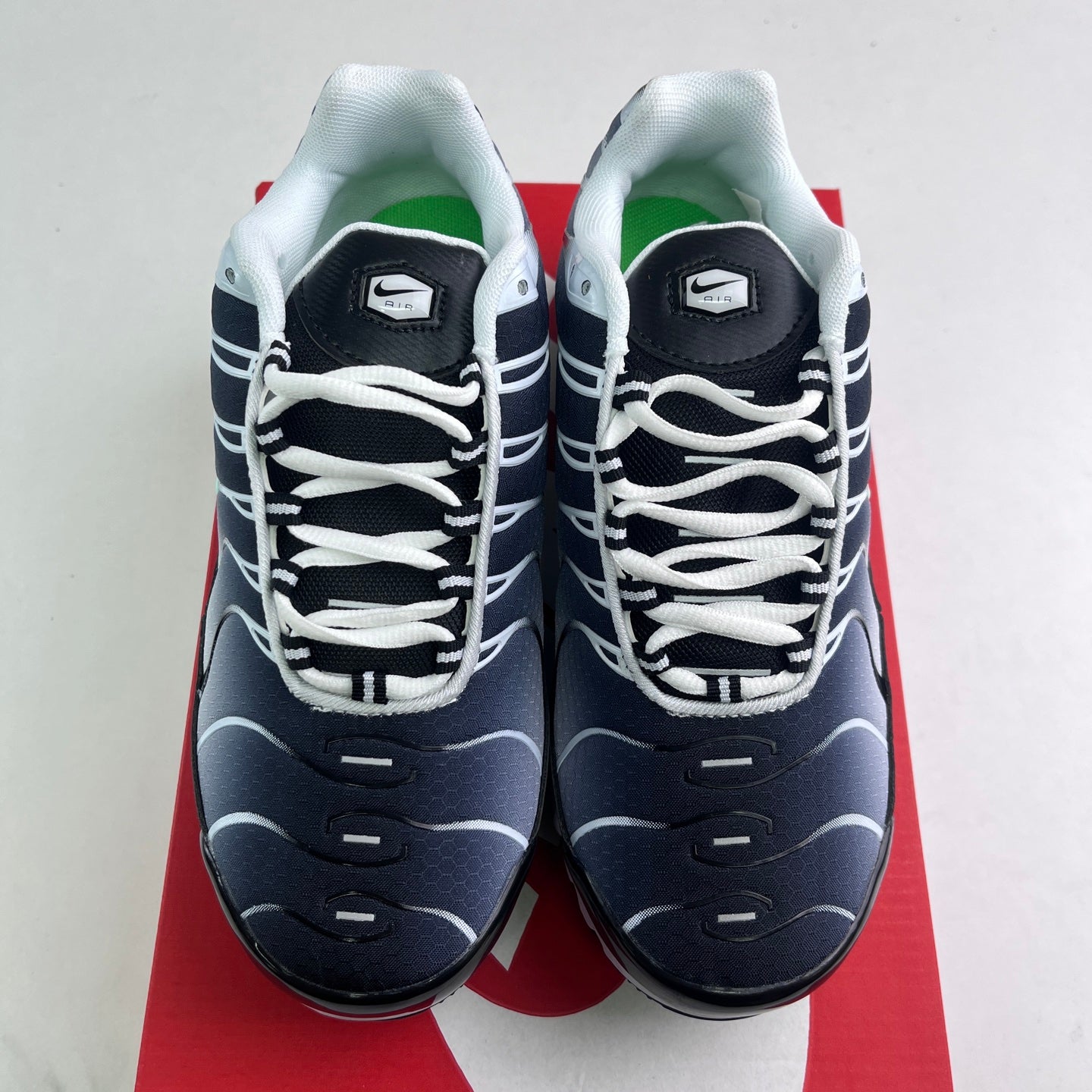 Nike Air Max Plus TN Gradient Black White Mint