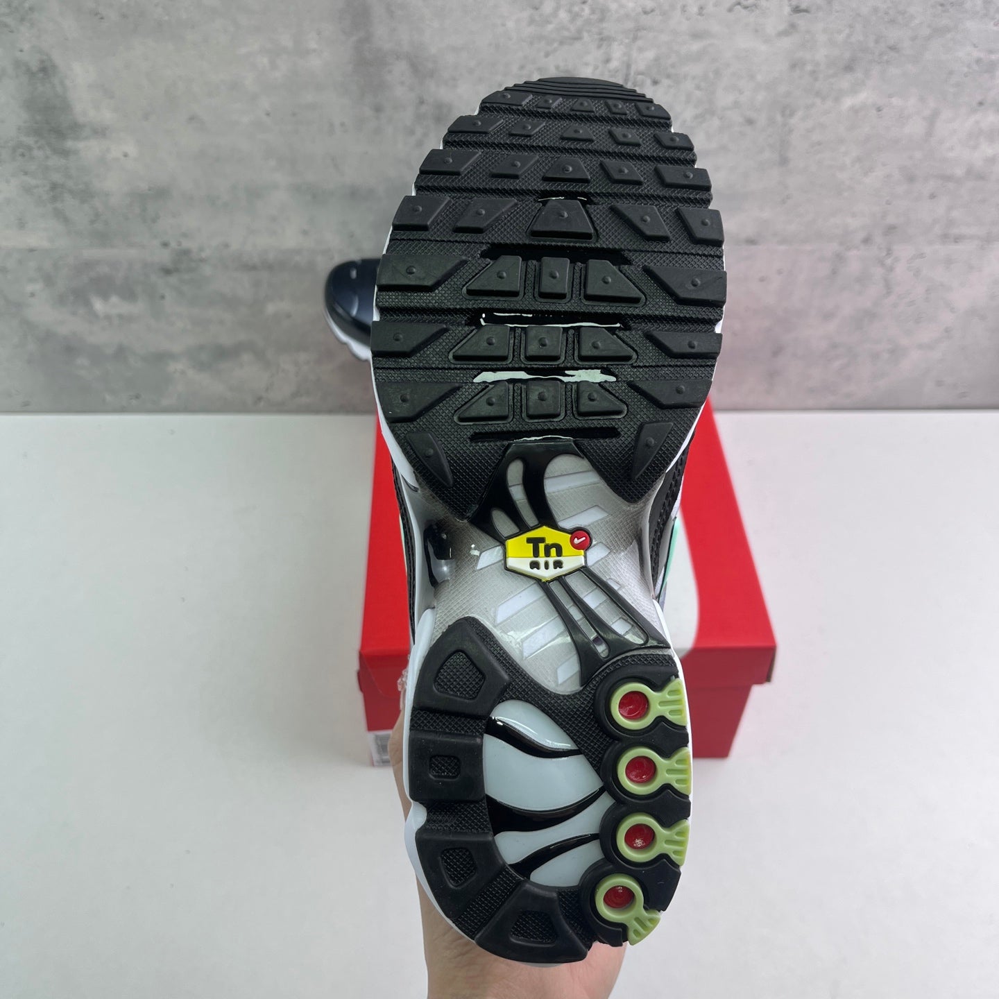 Nike Air Max Plus TN Gradient Black White Mint