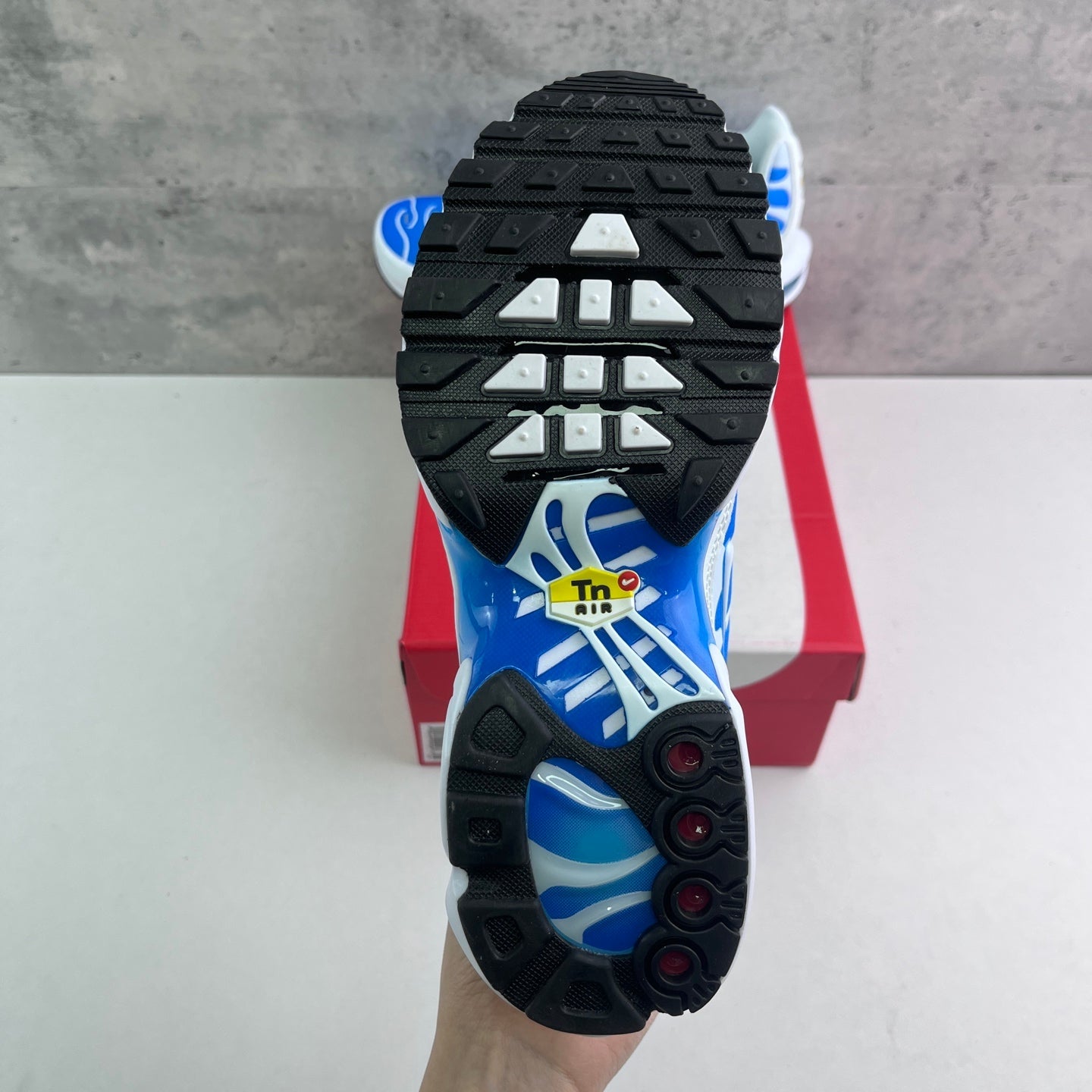 Nike Air Max Plus TN Sky Blue