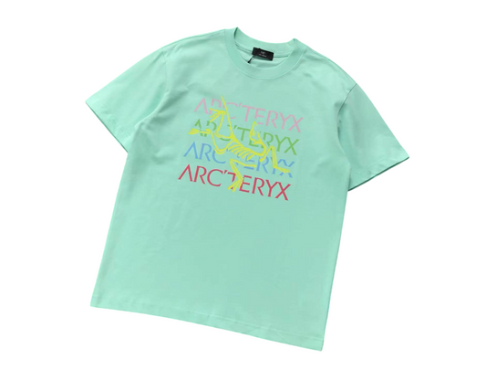 Arc'teryx Rainbow Bird Tee - (MINT GREEN)