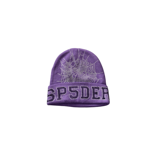 Sp5der Web Beanie - (PURPLE)